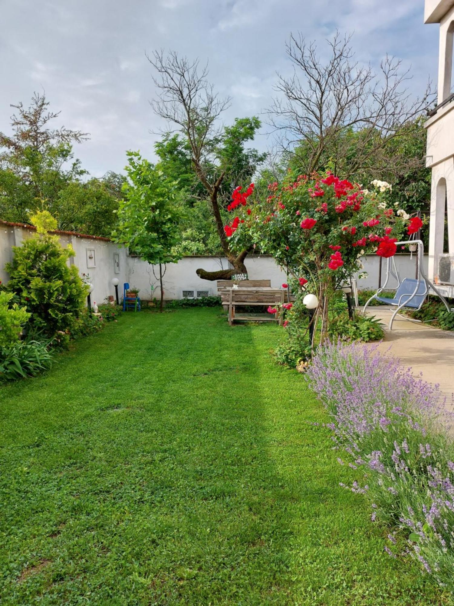 Вила Топи Villa Kaloyanovo  Buitenkant foto